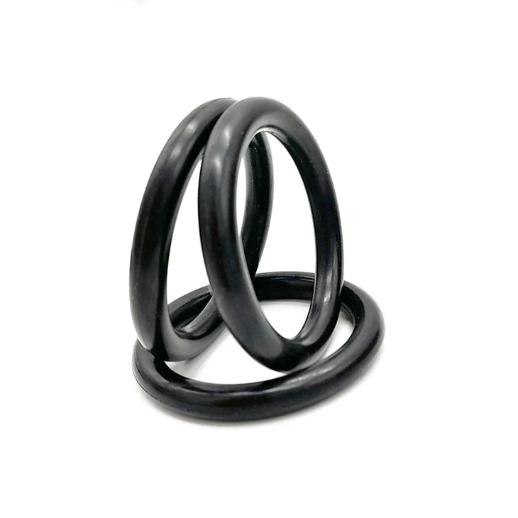 HNBR O Ring 24*3.1mm