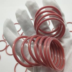 Joints toriques encapsulés