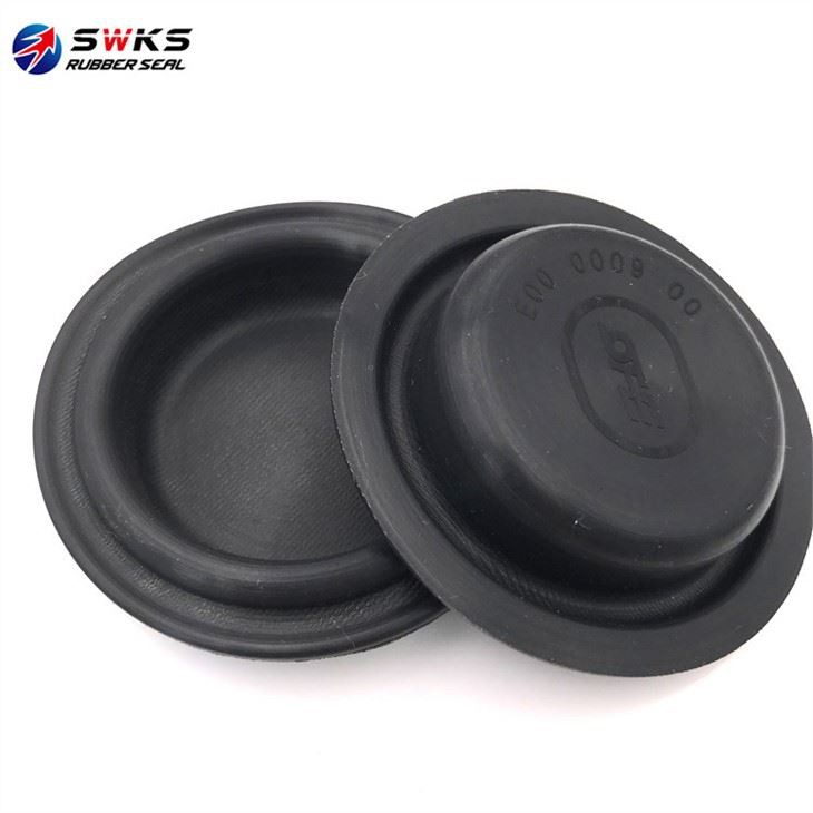 rubber diaphragm (1)